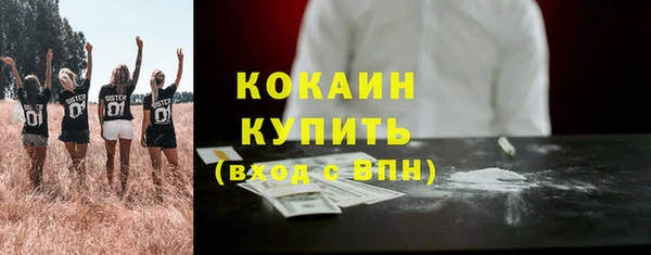 СК Анива