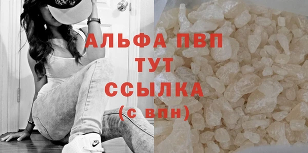 эйфоретик Михайловск