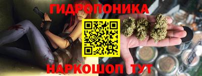 сатива Гатчина