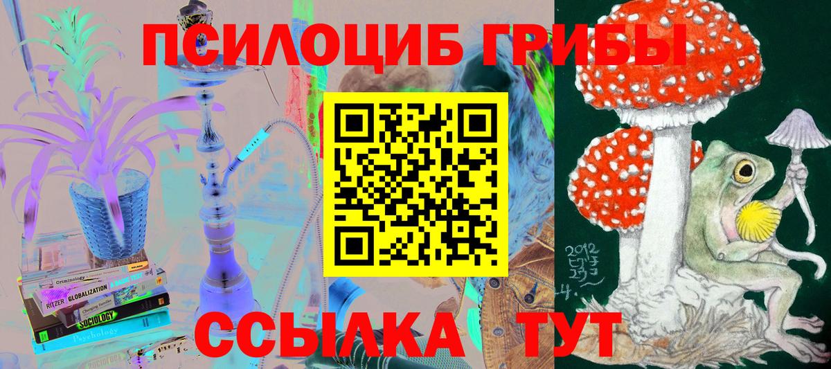 Псилоцибиновые грибы Cubensis Чебоксары