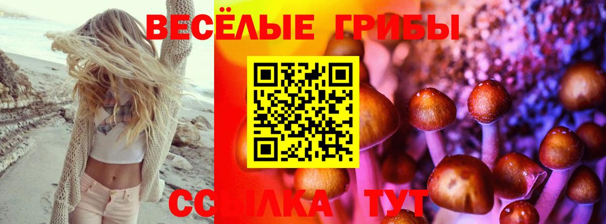 Псилоцибиновые грибы мухоморы  Вход с VPN  сколько стоит  Псилоцибиновые грибы мицелий  Чебоксары 
