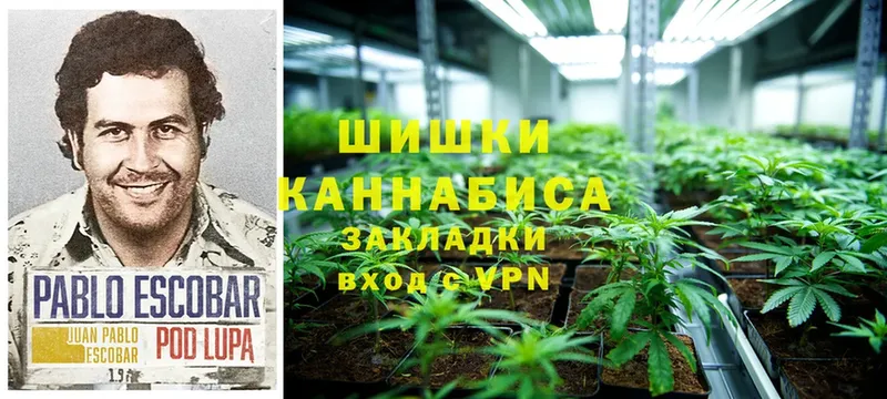 нарко площадка как зайти  Чебоксары  Бошки марихуана LSD WEED 